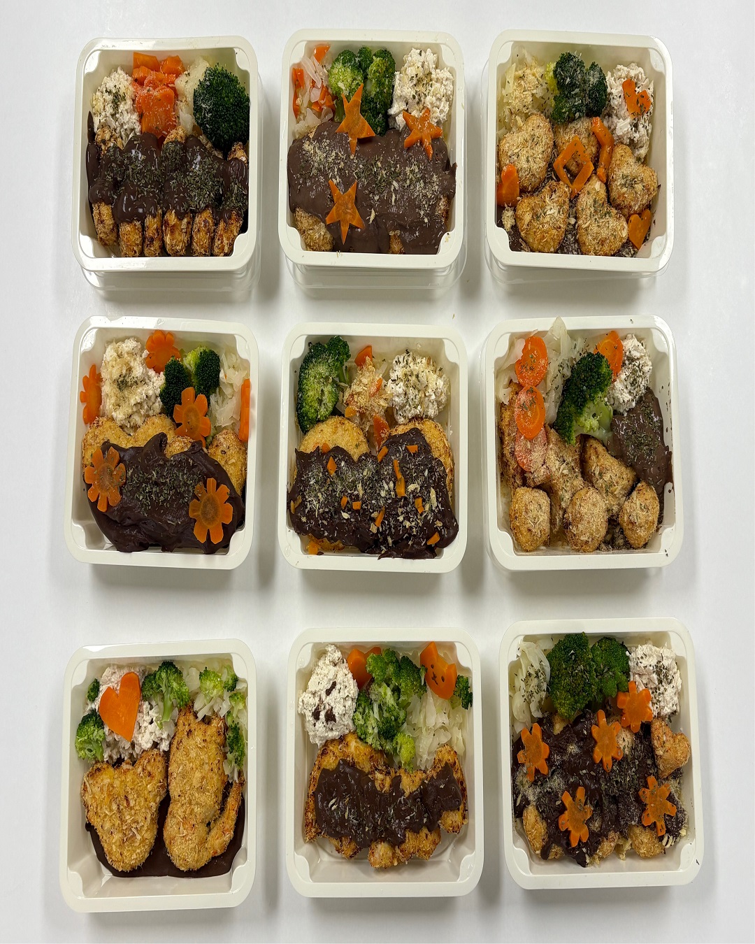 [다이로움 청년학교 3] 반려견 돈가스 정식 만들기