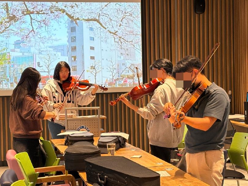 비올라(250329).jpg